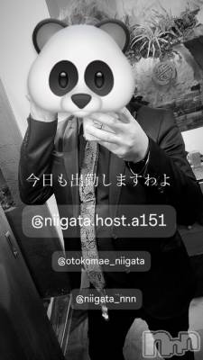 ��Į�ۥ��ȡ��ܡ������С�A151(�����������ݥ���) �褦(18)��12��12���̥�֥�������������