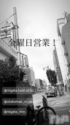 ��Į�ۥ��ȡ��ܡ������С�A151(�����������ݥ���) �褦(18)��12��13���̥�֥����ֶ�������