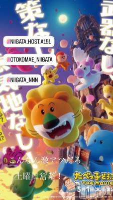 ��Į�ۥ��ȡ��ܡ������С�A151(�����������ݥ���) �褦(18)��12��14���̥�֥�������������