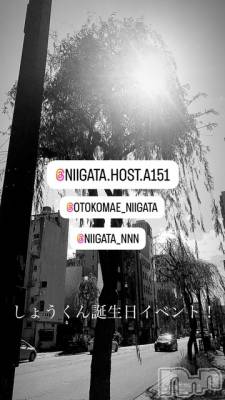 ��Į�ۥ��ȡ��ܡ������С�A151(�����������ݥ���) �褦(18)��12��15���̥�֥�������������