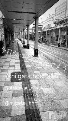 ��Į�ۥ��ȡ��ܡ������С�A151(�����������ݥ���) �褦(18)��12��19���̥�֥�������������