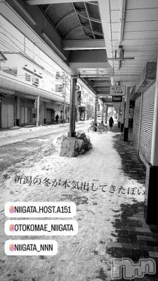 ��Į�ۥ��ȡ��ܡ������С�A151(�����������ݥ���) �褦(18)��1��8���̥�֥����ֿ�������