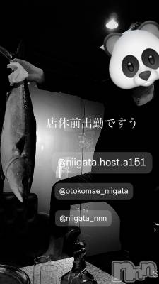 ��Į�ۥ��ȡ��ܡ������С�A151(�����������ݥ���) �褦(18)��1��20���̥�֥����ַ�������