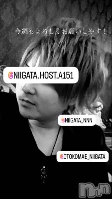 ��Į�ۥ��ȡ��ܡ������С�A151(�����������ݥ���) �褦(18)��1��22���̥�֥����ֿ�������