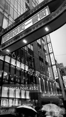 ��Į�ۥ��ȡ��ܡ������С�A151(�����������ݥ���) �褦(18)��1��24���̥�֥����ֶ�������