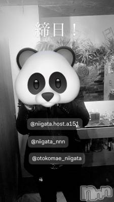 ��Į�ۥ��ȡ��ܡ������С�A151(�����������ݥ���) �褦(18)��1��31���̥�֥����ֶ�������