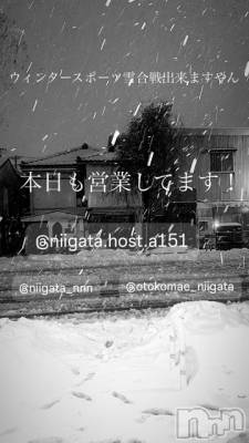 ��Į�ۥ��ȡ��ܡ������С�A151(�����������ݥ���) �褦(18)��2��8���̥�֥�������������