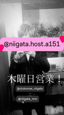 ��Į�ۥ��ȡ��ܡ������С�A151(�����������ݥ���) �褦(18)��2��13���̥�֥�������������