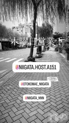 ��Į�ۥ��ȡ��ܡ������С�A151(�����������ݥ���) �褦(18)��2��20���̥�֥�������������