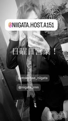 ��Į�ۥ��ȡ��ܡ������С�A151(�����������ݥ���) �褦(18)��2��23���̥�֥�������������