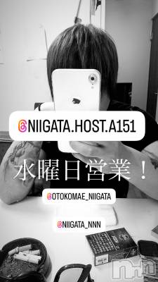 ��Į�ۥ��ȡ��ܡ������С�A151(�����������ݥ���) �褦(18)��2��26���̥�֥����ֿ�������