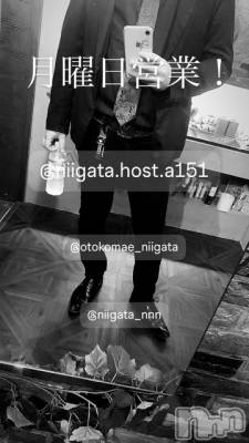 ��Į�ۥ��ȡ��ܡ������С�A151(�����������ݥ���) �褦(18)��3��3���̥�֥����ַ�������