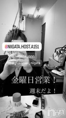 ��Į�ۥ��ȡ��ܡ������С�A151(�����������ݥ���) �褦(18)��3��7���̥�֥����ֶ�������