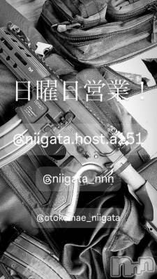 ��Į�ۥ��ȡ��ܡ������С�A151(�����������ݥ���) �褦(18)��3��9���̥�֥�������������