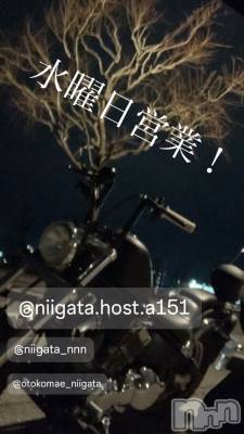 ��Į�ۥ��ȡ��ܡ������С�A151(�����������ݥ���) �褦(18)��3��12���̥�֥����ֿ�������