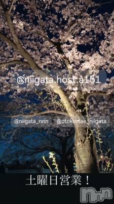 ��Į�ۥ��ȡ��ܡ������С�A151(�����������ݥ���) �褦(18)��3��22���̥�֥�������������