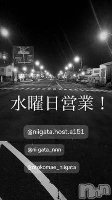 ��Į�ۥ��ȡ��ܡ������С�A151(�����������ݥ���) �褦(18)��3��26���̥�֥����ֿ�������