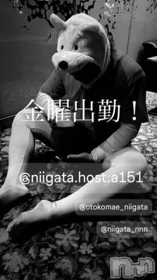 ��Į�ۥ��ȡ��ܡ������С�A151(�����������ݥ���) �褦(18)��4��4���̥�֥����ֶ�������