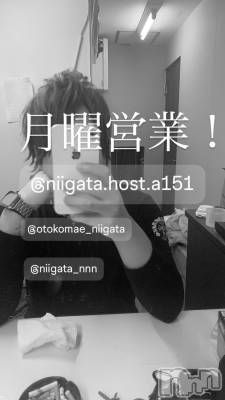 ��Į�ۥ��ȡ��ܡ������С�A151(�����������ݥ���) �褦(18)��4��7���̥�֥����ַ�������