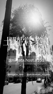 ��Į�ۥ��ȡ��ܡ������С�A151(�����������ݥ���) �褦(18)��4��12���̥�֥�������������