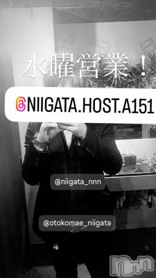 ��Į�ۥ��ȡ��ܡ������С�A151(�����������ݥ���) �褦(18)��4��16���̥�֥����ֿ�������