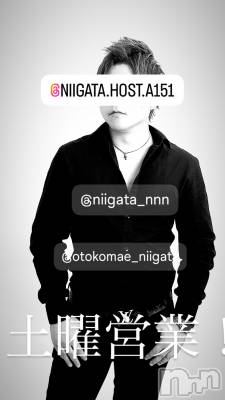 ��Į�ۥ��ȡ��ܡ������С�A151(�����������ݥ���) �褦(18)��4��19���̥�֥�������������