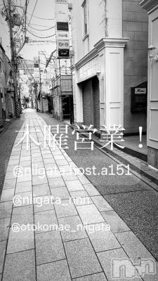 ��Į�ۥ��ȡ��ܡ������С�A151(�����������ݥ���) �褦(18)��4��24���̥�֥�������������