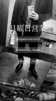 ��Į�ۥ��ȡ��ܡ������С�A151(�����������ݥ���) �褦(18)��5��12���̥�֥�������������