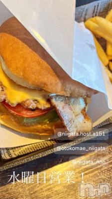 ��Į�ۥ��ȡ��ܡ������С�A151(�����������ݥ���) �褦(18)��5��14���̥�֥����ֿ�������