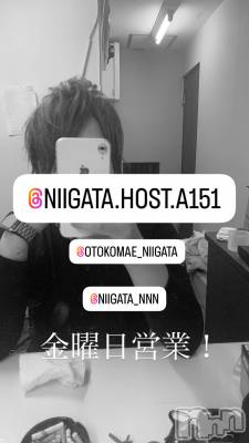 ��Į�ۥ��ȡ��ܡ������С�A151(�����������ݥ���) �褦(18)��5��16���̥�֥����ֶ�������