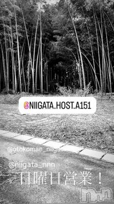 ��Į�ۥ��ȡ��ܡ������С�A151(�����������ݥ���) �褦(18)��5��18���̥�֥�������������