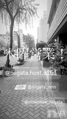 ��Į�ۥ��ȡ��ܡ������С�A151(�����������ݥ���) �褦(18)��5��22���̥�֥�������������