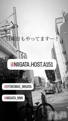 ��Į�ۥ��ȡ��ܡ������С�A151(�����������ݥ���) �褦(18)��5��25���̥�֥�������������