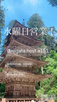 ��Į�ۥ��ȡ��ܡ������С�A151(�����������ݥ���) �褦(18)��5��28���̥�֥����ֿ�������