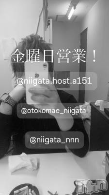 ��Į�ۥ��ȡ��ܡ������С�A151(�����������ݥ���) �褦(18)��5��30���̥�֥����ֶ�������