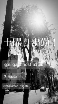 ��Į�ۥ��ȡ��ܡ������С�A151(�����������ݥ���) �褦(18)��6��7���̥�֥�������������