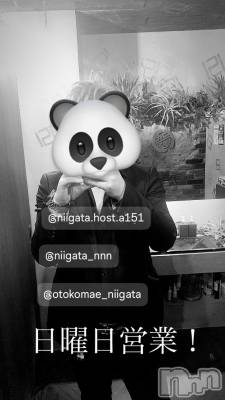 ��Į�ۥ��ȡ��ܡ������С�A151(�����������ݥ���) �褦(18)��6��8���̥�֥�������������