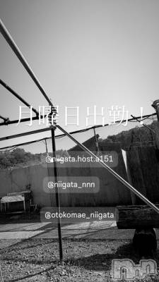 ��Į�ۥ��ȡ��ܡ������С�A151(�����������ݥ���) �褦(18)��6��16���̥�֥����ַ�������