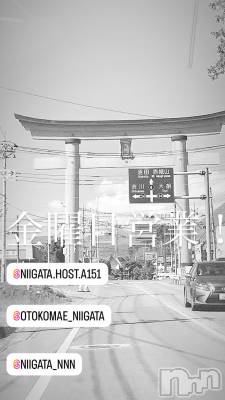 ��Į�ۥ��ȡ��ܡ������С�A151(�����������ݥ���) �褦(18)��6��20���̥�֥����ֶ�������