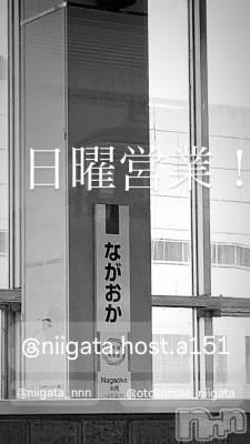 ��Į�ۥ��ȡ��ܡ������С�A151(�����������ݥ���) �褦(18)��6��22���̥�֥�������������