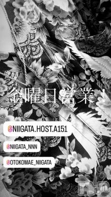 ��Į�ۥ��ȡ��ܡ������С�A151(�����������ݥ���) �褦(18)��6��27���̥�֥����ֶ�������