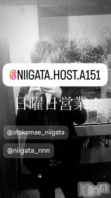 ��Į�ۥ��ȡ��ܡ������С�A151(�����������ݥ���) �褦(18)��6��29���̥�֥�������������