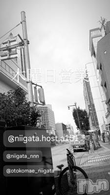 ��Į�ۥ��ȡ��ܡ������С�A151(�����������ݥ���) �褦(18)��7��3���̥�֥�������������