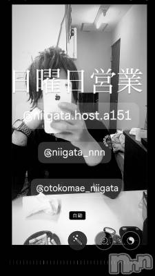 ��Į�ۥ��ȡ��ܡ������С�A151(�����������ݥ���) �褦(18)��7��6���̥�֥�������������