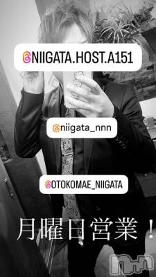 ��Į�ۥ��ȡ��ܡ������С�A151(�����������ݥ���) �褦(18)��7��7���̥�֥����ַ�������