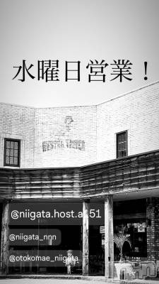 ��Į�ۥ��ȡ��ܡ������С�A151(�����������ݥ���) �褦(18)��7��9���̥�֥����ֿ�������