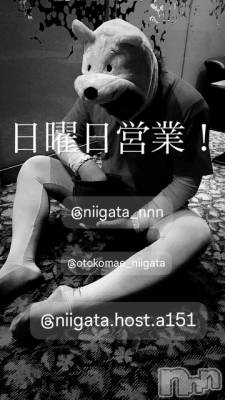 ��Į�ۥ��ȡ��ܡ������С�A151(�����������ݥ���) �褦(18)��7��13���̥�֥�������������