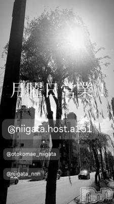 ��Į�ۥ��ȡ��ܡ������С�A151(�����������ݥ���) �褦(18)��7��14���̥�֥����ַ�������