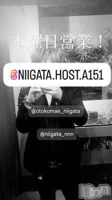 ��Į�ۥ��ȡ��ܡ������С�A151(�����������ݥ���) �褦(18)��7��17���̥�֥�������������