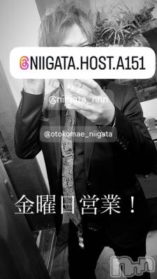 ��Į�ۥ��ȡ��ܡ������С�A151(�����������ݥ���) �褦(18)��7��25���̥�֥����ֶ�������